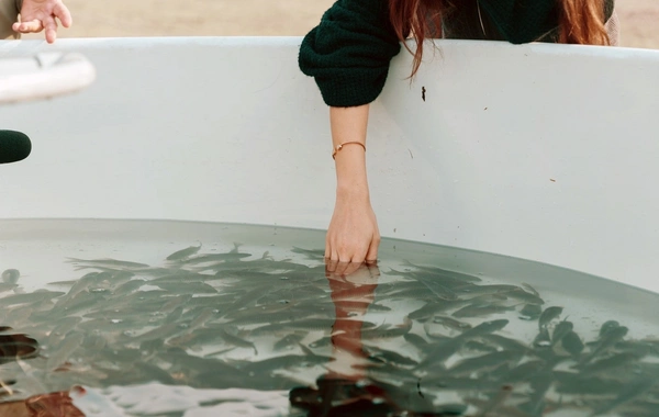 Leyla Əliyeva Mingəçevirdə ekoloji aksiyalarda iştirak edib