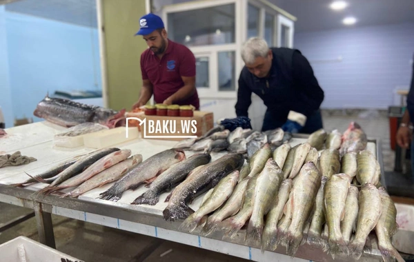 Bakıda balıq yarmarkası fəaliyyətə başladı