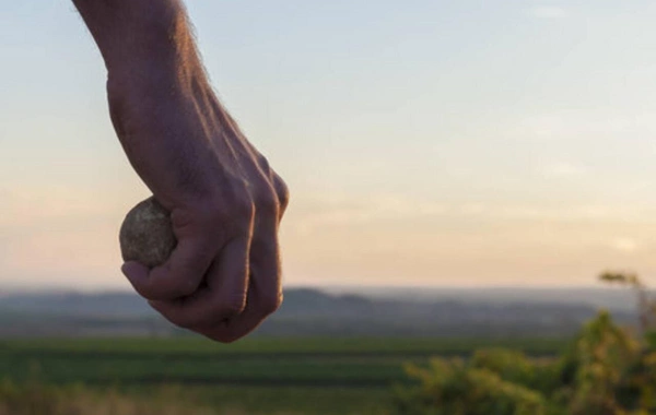 Sürət qatarına daş atan daha 4 yeniyetmə müəyyən edilib