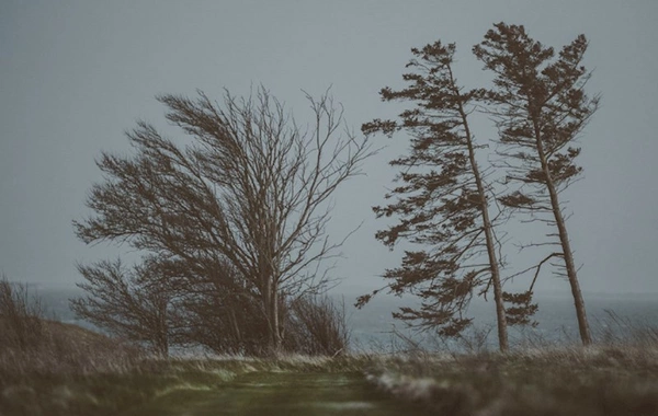 XƏBƏRDARLIQ: Sabah külək güclənəcək
