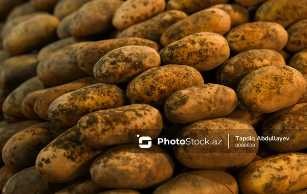 Why does the price of potatoes in Azerbaijan increase 6 times from field to counter?