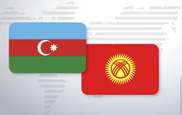 Azərbaycanla Qırğızıstan arasında cinayətkarlıqla mübarizə üzrə əməkdaşlıq Sazişi təsdiqlənib