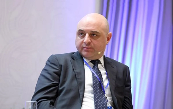 Gürcüstan Azərbaycana yeni səfir təyin edib