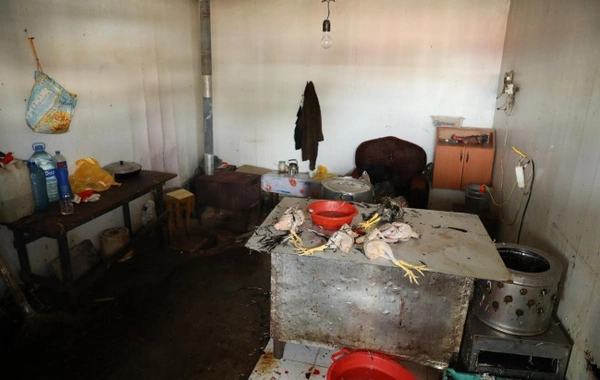 Sabunçu bazarında REYD - "Allahın cücüsüdür"