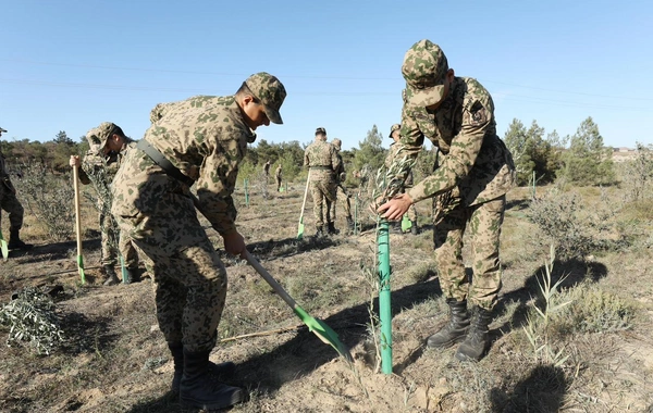 8 Noyabr - Zəfər Günü ilə əlaqədar DİN-in əməkdaşları növbəti ağacəkmə kampaniyası keçiriblər