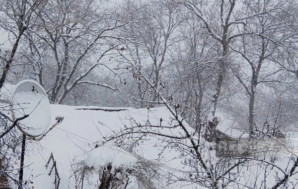 Naxçıvanda qar örtüyünün hündürlüyü 54 santimetrə çatıb