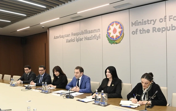 Эльнур Мамедов обсудил с представителями Конгресса США отмену 907-й поправки