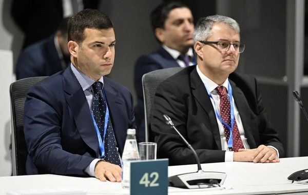 В рамках COP29 запущена Бакинская инициатива BICFIT