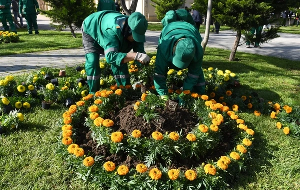 Bakıda daxili iməcilik keçirilib