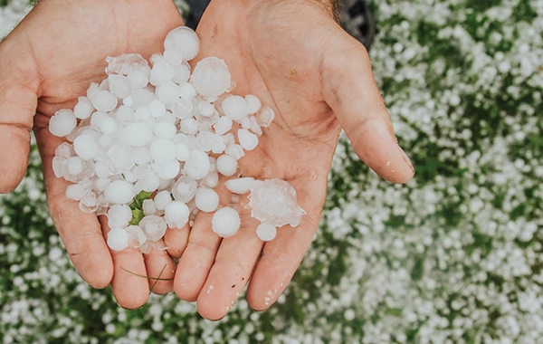 Hidrometeorologiya Xidməti: Bakıya və Abşeron yarımadasına dolu yağması ehtimalı var