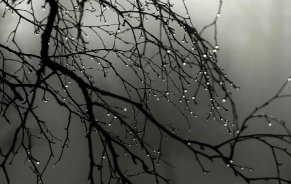 Bakıda və bölgələrdə arabir çiskin olacaq - PROQNOZ