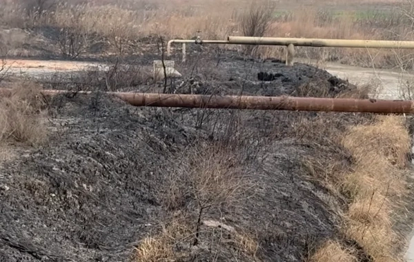 Ucarın 11 kəndi qazsız qaldı: Yemək bişirə, çay qızdıra bilmirik