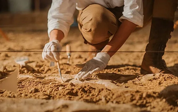 Turkish archaeologists found confirmation of events from Homer's "Iliad"