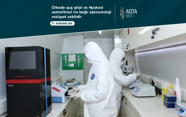 В Азербайджане подведены итоги мониторинга по птичьему гриппу