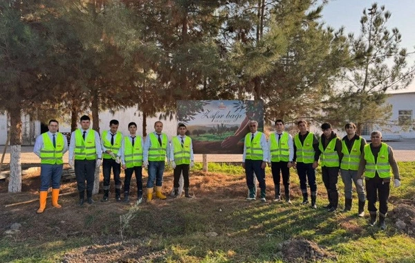 Hacıqabulda Zəfər Bağı salınıb