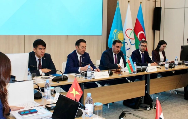 Azərbaycanın sədrliyi ilə AQEM Yüksək Səviyyəli Şəxslər Komitəsinin növbəti iclası keçirilib