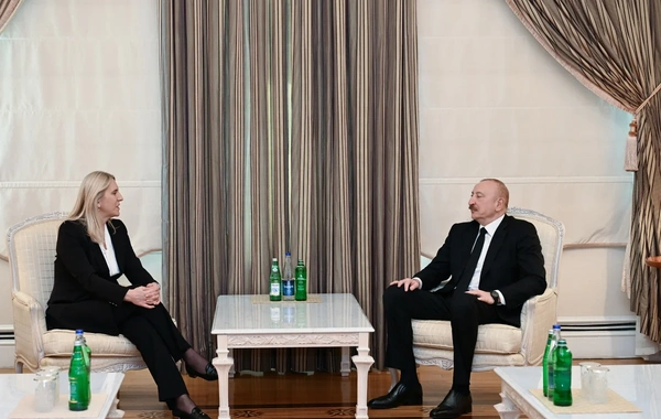 İlham Əliyev Bosniya və Herseqovina Rəyasət Heyətinin üzvü ilə görüşüb