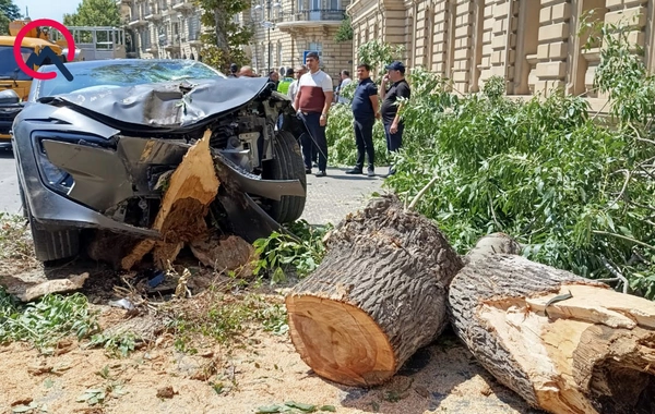 Bakının mərkəzində sükanı bloklanan maşın ağaca çırpıldı - GÖRÜNTÜLƏR