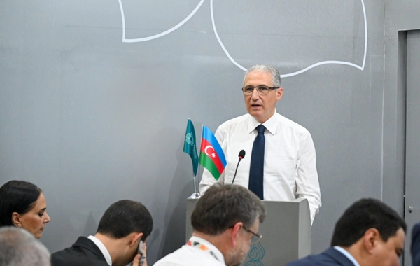 COP30-da Xəzər dənizinin səviyyəsinin azalmasına həsr olunmuş yüksəksəviyyəli tədbir keçirilib