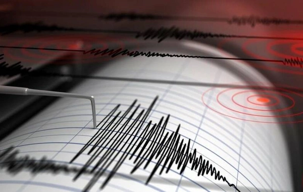 Türkiyədə zəlzələ oldu