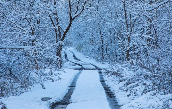 Sabah bəzi rayonlara qar yağacaq - Yollar buz bağlayacaq