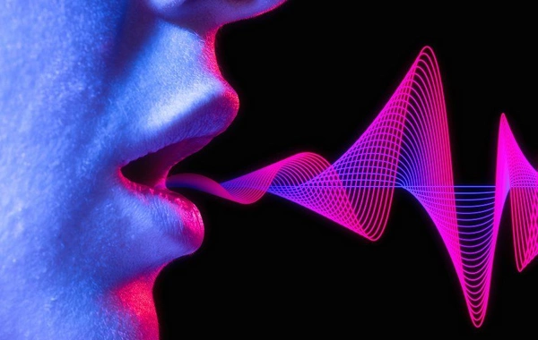 МВД Азербайджана раскрыло один из самых распространенных способов обмана