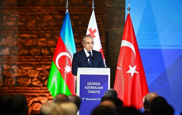 Azərbaycan-Türkiyə-Gürcüstan biznes forumunda MÜHÜM MÜZAKİRƏLƏR