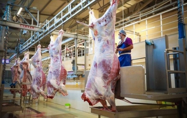 Qurbanlıq heyvanların satışı və kəsimi xidmətləri göstəriləcək ünvanlar açıqlanıb