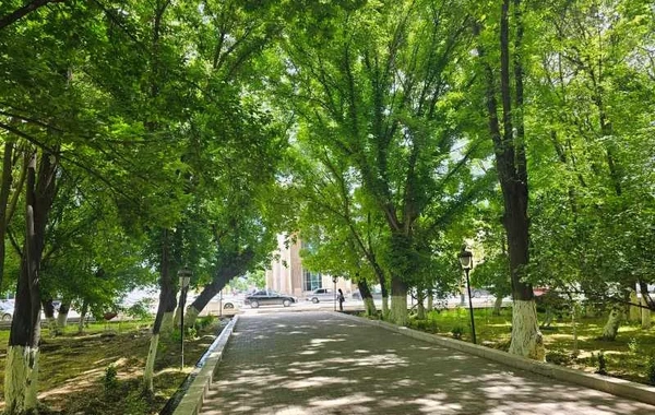 Azərbaycanda məşhur park abadlaşdırılacaq -  2,9 milyonluq LAYİHƏ