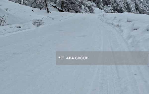 Güclü qar Qəbələnin dağlıq kəndlərinə gediş-gəlişi çətinləşdirib