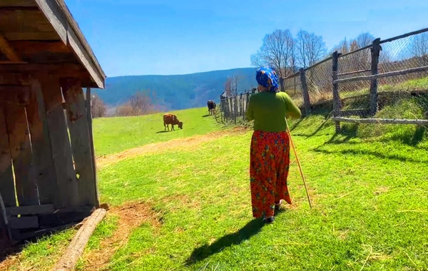 Kəndə köçüb, banka bağlayıb, toyuq saxlayan MƏŞHURLAR - SİYAHI