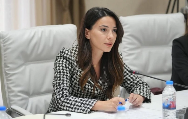 Gürcü nazir: Gələn il Bakı-Tbilisi-Qars dəmir yolu və enerji sektoru prioritet olacaq