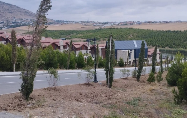 Rəşad Ələkbərov: Nəsiminin Şamaxıda ucaldılan abidəsi 5 ilə hazırlanıb