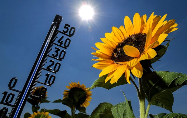Mayda hava 35°-dək yüksələcək - AYLIQ PROQNOZ