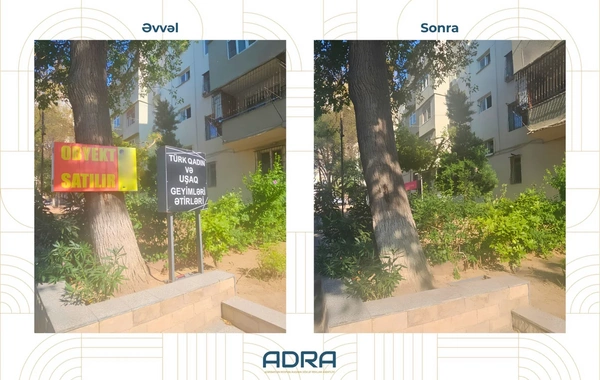 Ağaclara qanunsuz yerləşdirilən 267 reklam qurğusu söküldü
