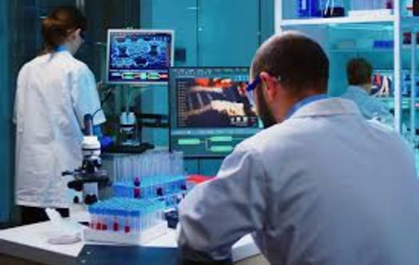 A way to make "tired" immune cells fight cancer has been found