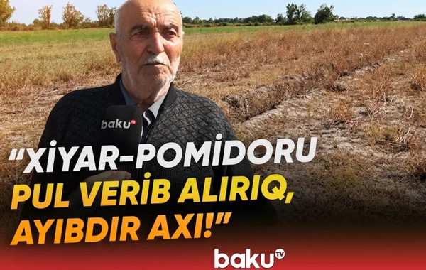 Əkin sahələri susuzluqdan məhv olan sakinlər şikayətçidir