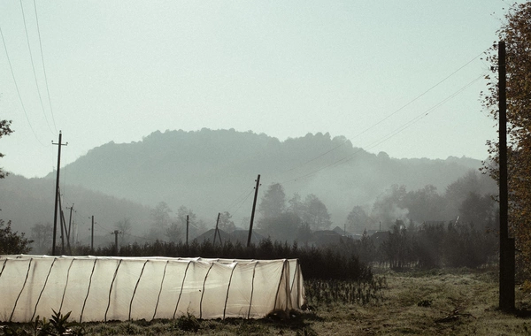 Leyla Əliyeva, Arzu Əliyeva və Alena Əliyeva Lənkəranda ekoloji aksiyalarda iştirak ediblər