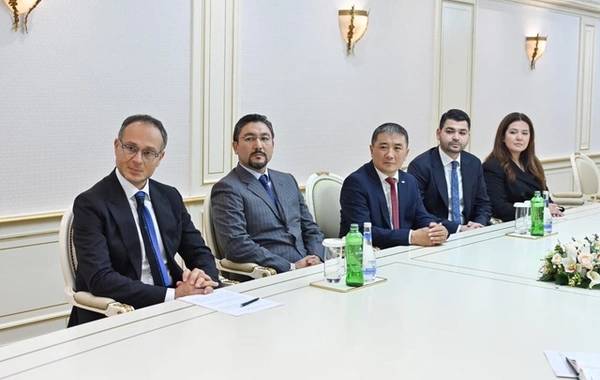 Sahibə Qafarova TÜRKPA-nın yeni baş katibini qəbul edib