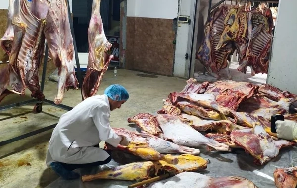 Masallıda üç tondan çox istehlaka yararsız ət aşkarlanıb