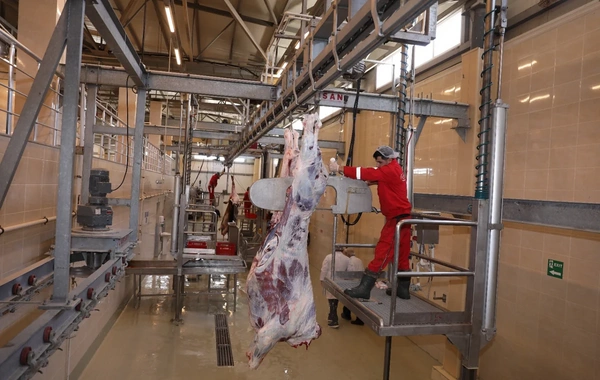 AQTA: 33 rayon və şəhərdə müasir heyvan kəsimi məntəqələri qurulmalıdır