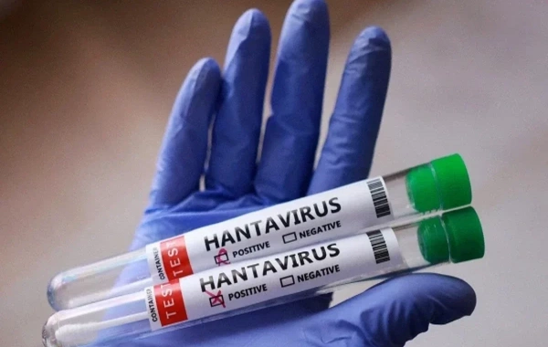 Azərbaycanda hantavirusun yayılma riski yüksəkdir? - ÜST açıqladı