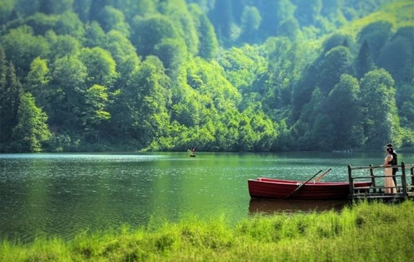 İlisu Milli Parkının yaradılmasının məqsədləri açıqlanıb