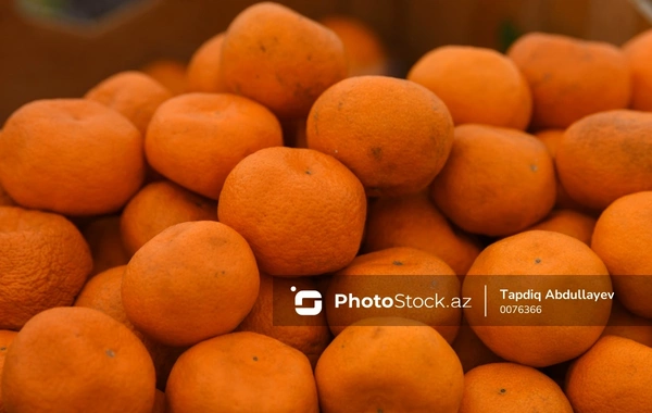 Mandarin fermerlərin əlində qalıb: Çox böyük ziyandayıq