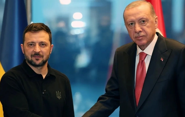 В Анкаре стартовали переговоры Эрдогана с Зеленским