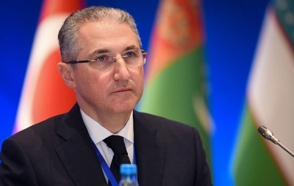 Prezidentin nümayəndəsi: "Apreldə 17 dağ çayında sel və daşqın baş verib"