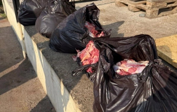 Bərdədə istehlaka yararsız at ətinin satışının qarşısı alınıb