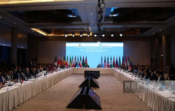 Pərviz Şahbazov: Enerji siyasətimiz OPEC+ platformasının məqsədləri ilə tam uzlaşır