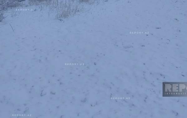 Ordubadın yüksək dağlıq ərazilərində qarın hündürlüyü 20 sm-ə çatıb