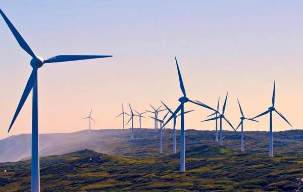 Deputat: Enerji layihələri Azərbaycanın qlobal miqyasda mövqeyini daha da möhkəmləndirir